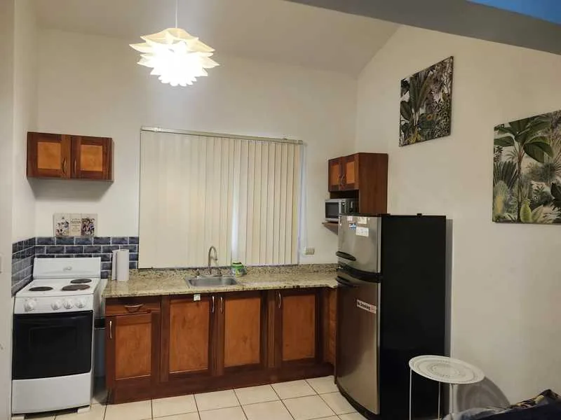 1 Bed Condo For Sale in Playas Del Coco, photo 6