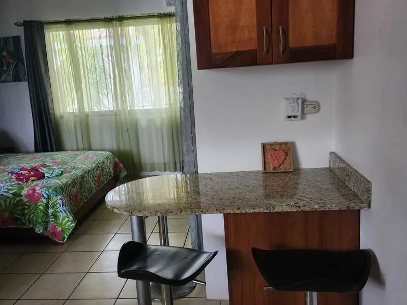 1 Bed Condo For Sale in Playas Del Coco, photo 9