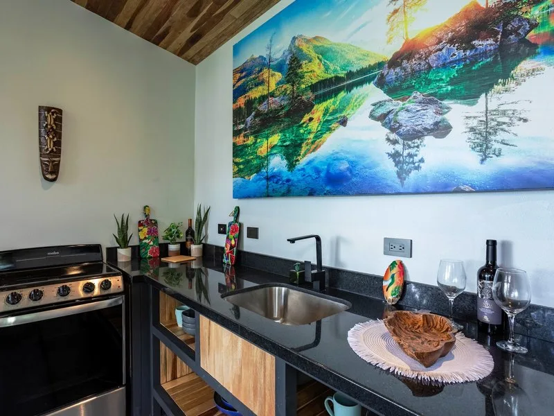 3 Bed Single Family Homes For Sale in Perez Zeledon, photo 8