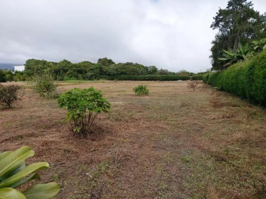 Lote de 5.000 m2 con uso mixto totalmente planos en San Isidro de Coronado RAH 231989 - Venta en Vasquez de Coronado