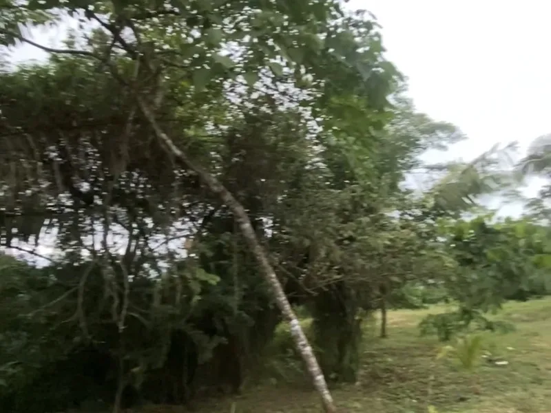 Land For Sale in Punta Islita Pacific, photo 11