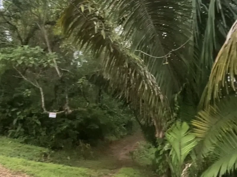 Land For Sale in Punta Islita Pacific, photo 10