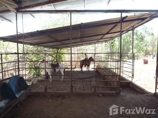 Land for Sale in Turrubares, San Jose for $650,000, photo 4