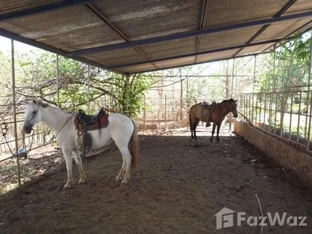 Land for Sale in Turrubares, San Jose for $650,000, photo 5