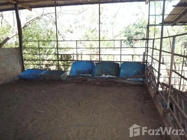 Land for Sale in Turrubares, San Jose for $650,000, photo 6