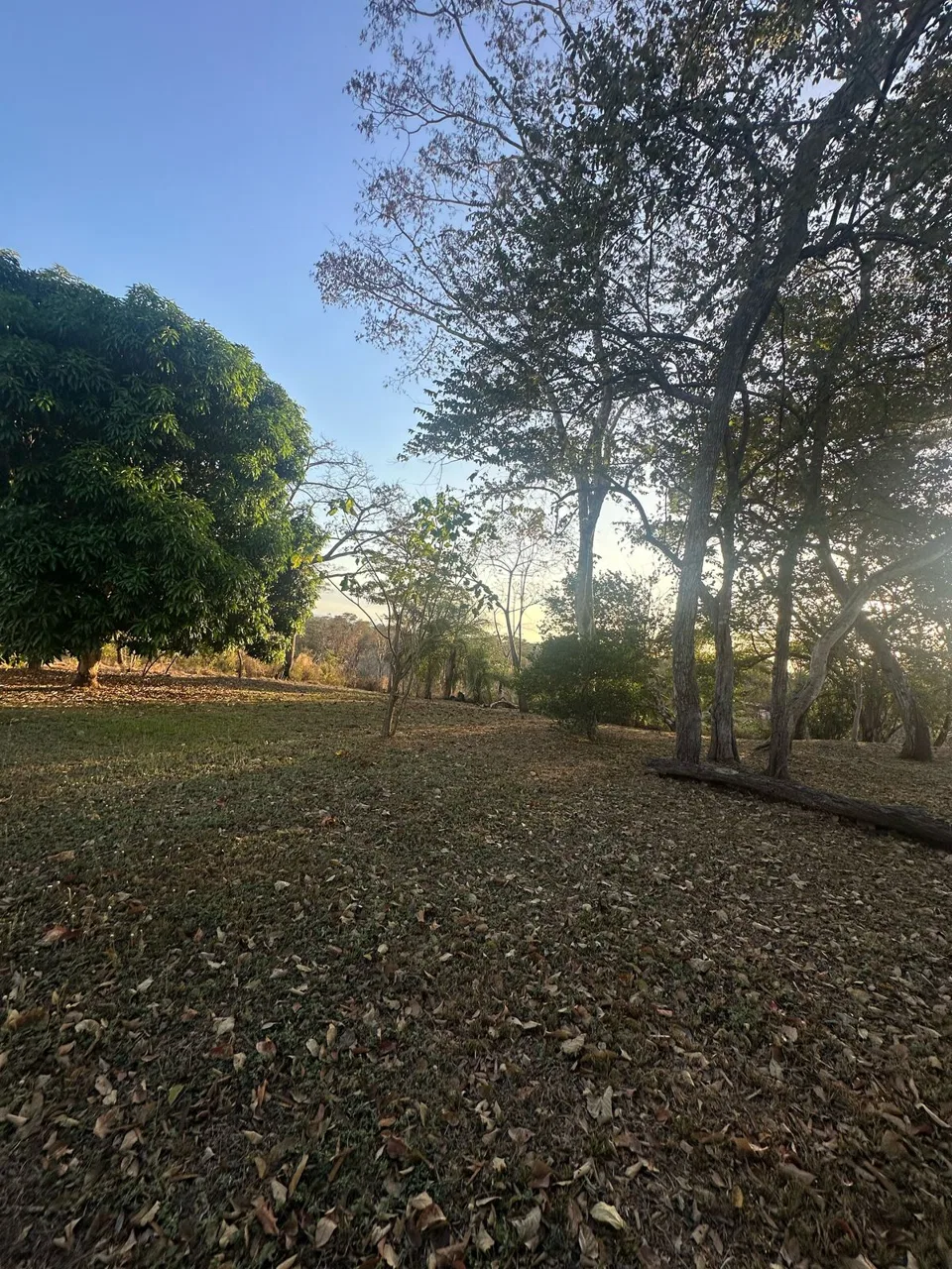 Your paradise awaits in Bajamar Beach, Sale - RE/MAX Tierra de Oro