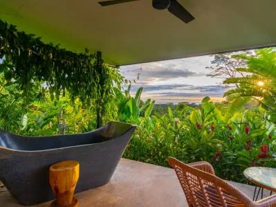 Stunning 3 bedrooms Oceanview home & a 2 bedrooms Guest House in Ojochal, photo 4