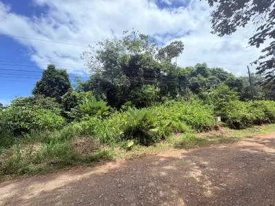 ¡Oportunidad espectacular! Lote edificable de 3,37 ha / 8,32 acres, Ojochal, Calle Tucán.