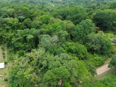BUILDING PROPERTY WITH PUBLIC ROAD IN FRONT, IN OJOCHAL – 8.32 ACRES, photo 18