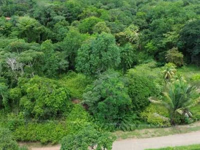 BUILDING PROPERTY WITH PUBLIC ROAD IN FRONT, IN OJOCHAL – 8.32 ACRES, photo 19