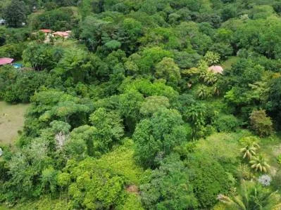 BUILDING PROPERTY WITH PUBLIC ROAD IN FRONT, IN OJOCHAL – 8.32 ACRES, photo 20