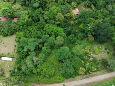 BUILDING PROPERTY WITH PUBLIC ROAD IN FRONT, IN OJOCHAL – 8.32 ACRES, photo 21