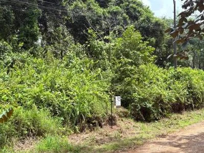 BUILDING PROPERTY WITH PUBLIC ROAD IN FRONT, IN OJOCHAL – 8.32 ACRES, photo 22