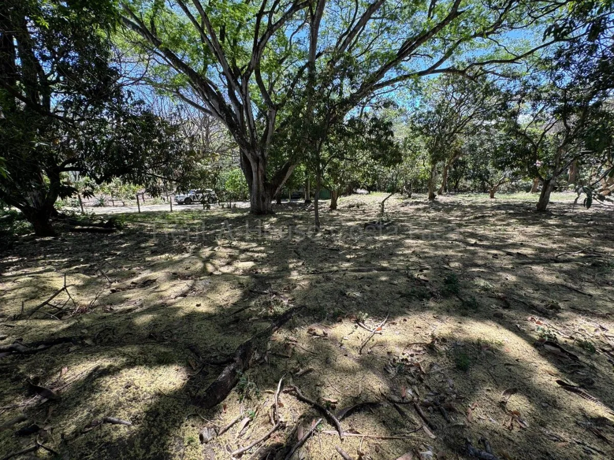 Lote en venta plano con ubicación estratégica en Piedades de Santa Ana #26-1867 GS - Venta en Santa Ana