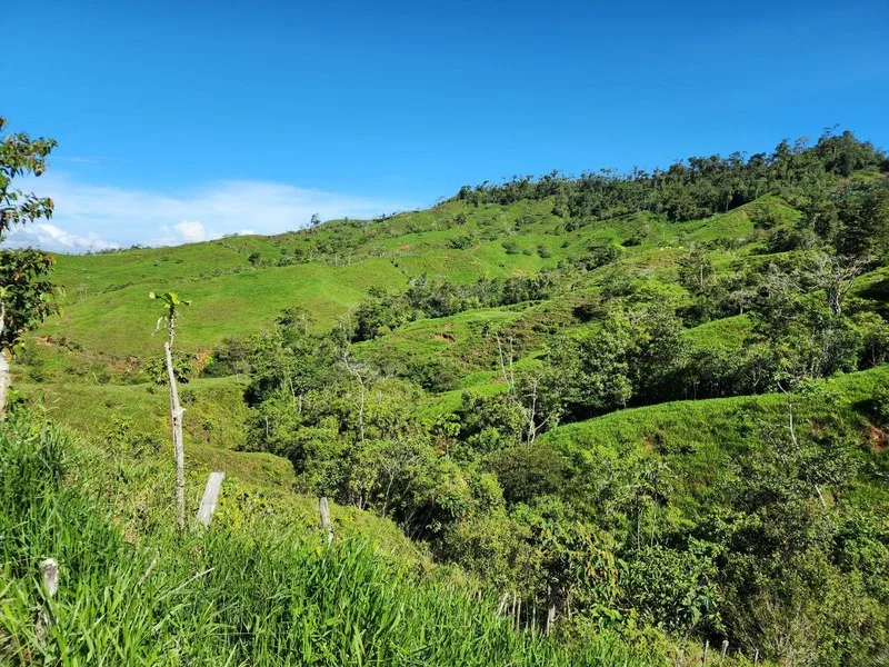 Land For Sale in Perez Zeledon, photo 11