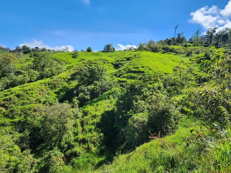 Land For Sale in Perez Zeledon, photo 12