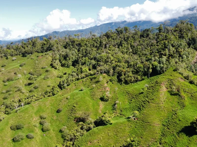 Land For Sale in Perez Zeledon, photo 13