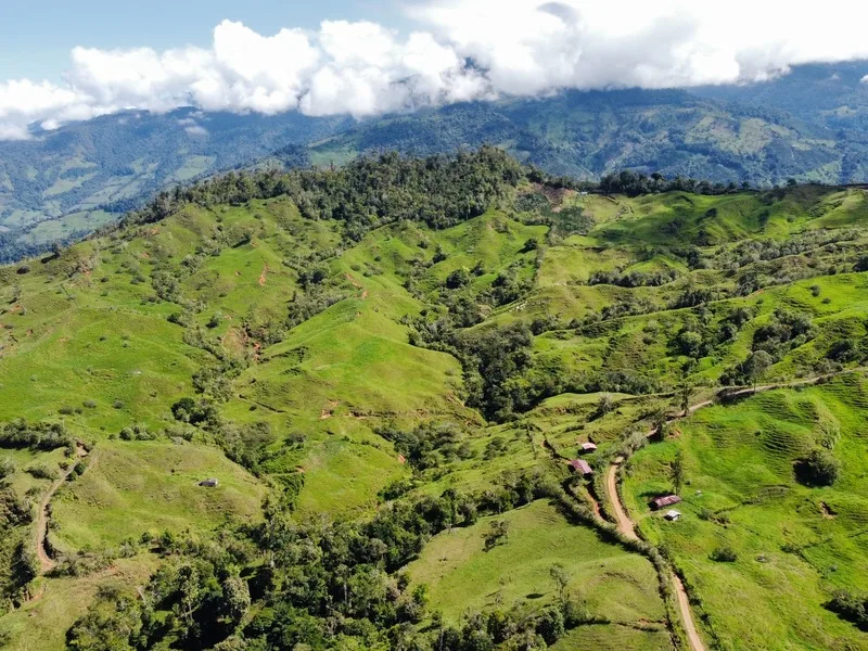 Land For Sale in Perez Zeledon, photo 14