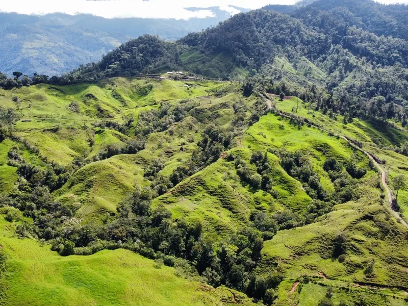 Land For Sale in Perez Zeledon, photo 15
