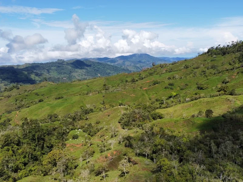 Land For Sale in Perez Zeledon, photo 6