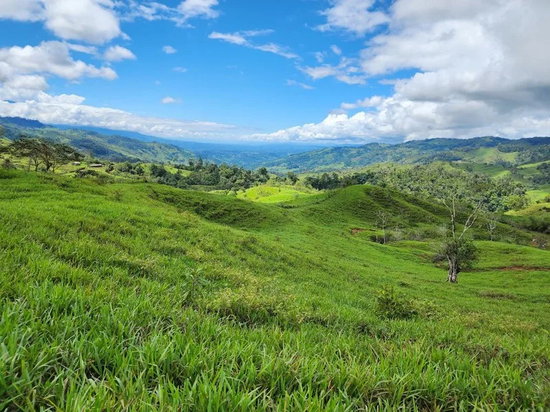 Land For Sale in Perez Zeledon, photo 7