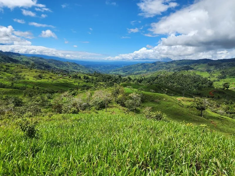 Land For Sale in Perez Zeledon, photo 8