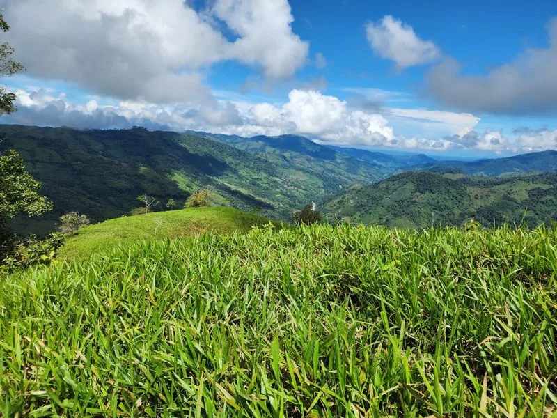 Land For Sale in Perez Zeledon, photo 9