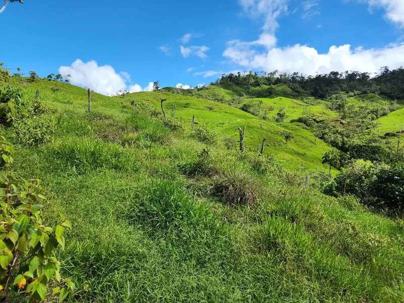Land For Sale in Perez Zeledon, photo 10