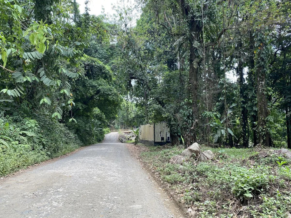 Prime Riverfront Commercial Property in the Center of Ojochal, photo 4