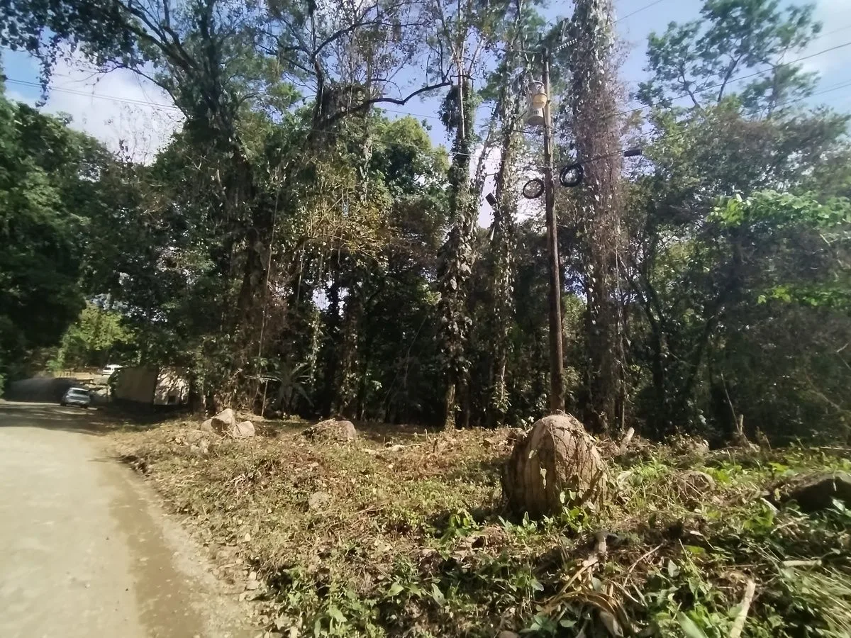 Prime Riverfront Commercial Property in the Center of Ojochal, photo 5