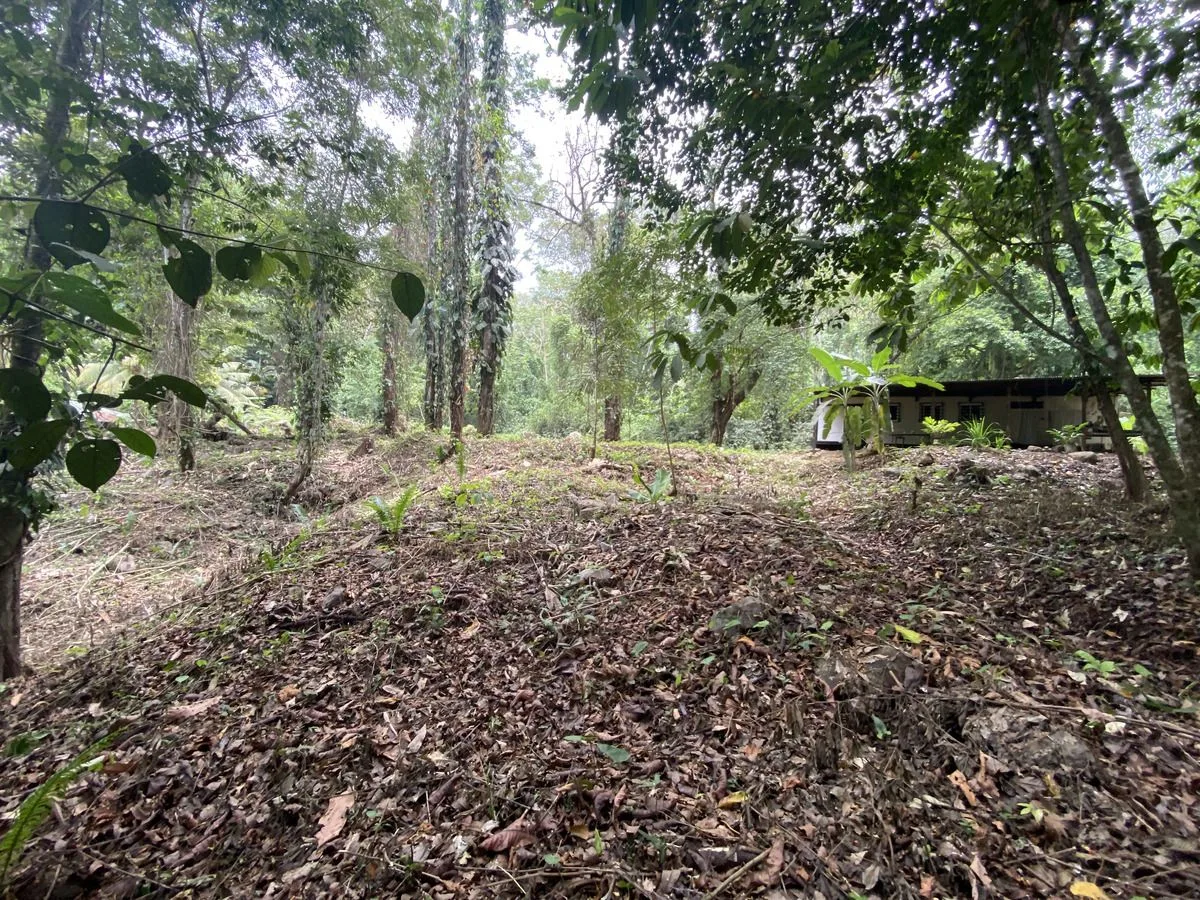 Prime Riverfront Commercial Property in the Center of Ojochal, photo 6