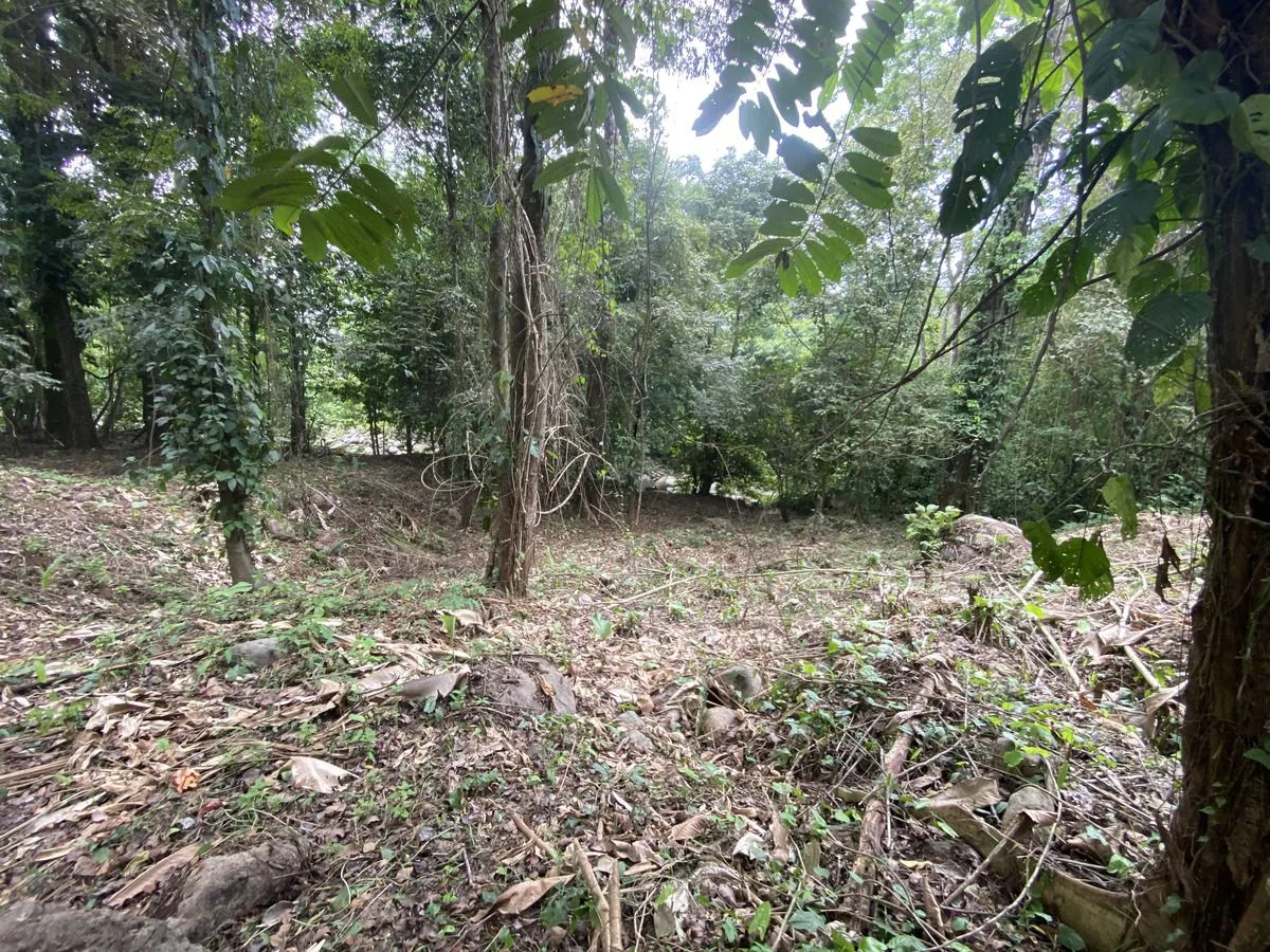 Prime Riverfront Commercial Property in the Center of Ojochal, photo 8