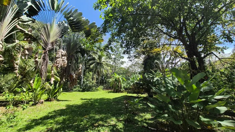 Dream Beachfront Property at Ballena Beach in Uvita, Costa Rica, photo 11