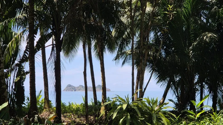 Dream Beachfront Property at Ballena Beach in Uvita, Costa Rica, photo 15