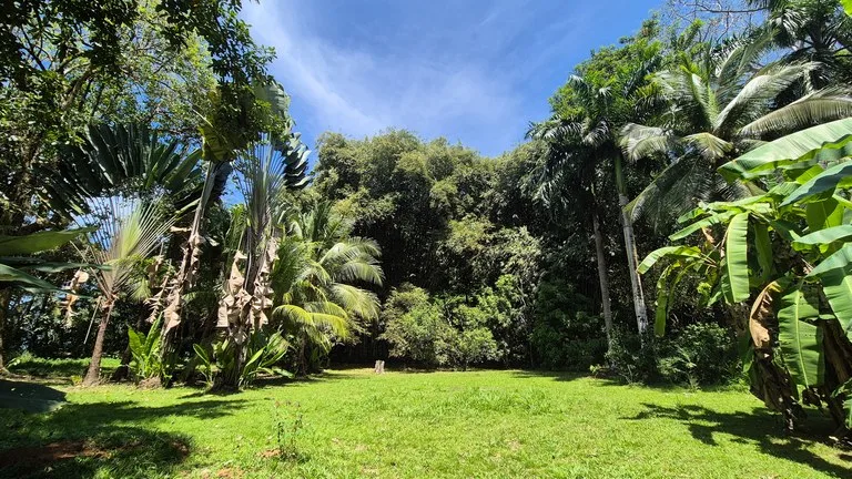 Dream Beachfront Property at Ballena Beach in Uvita, Costa Rica, photo 3
