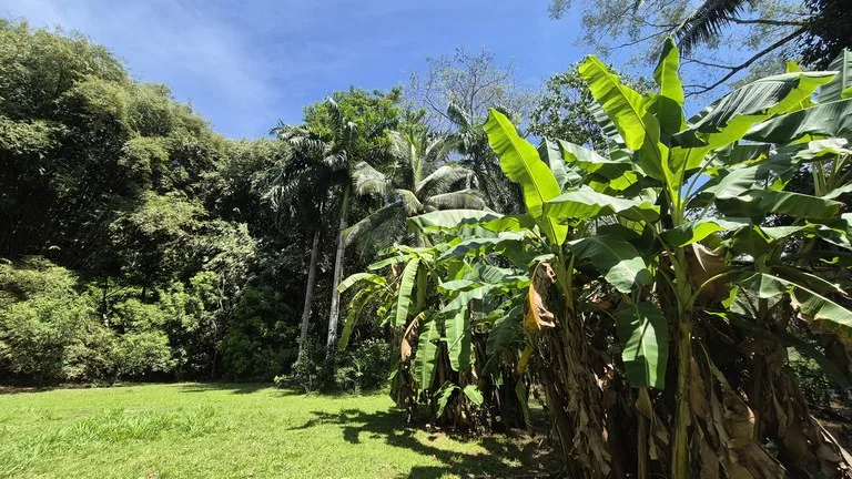 Dream Beachfront Property at Ballena Beach in Uvita, Costa Rica, photo 4