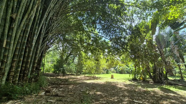 Dream Beachfront Property at Ballena Beach in Uvita, Costa Rica, photo 7