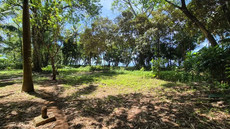 Dream Beachfront Property at Ballena Beach in Uvita, Costa Rica, photo 9