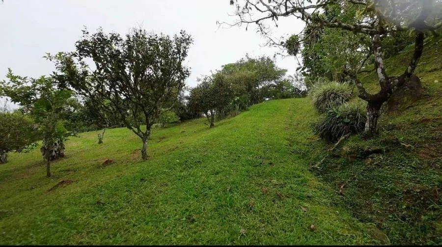 EN VENTA PROPIEDAD EN COSTA RICA CON VISTAS Y NACIENTE. - Venta en Perez Zeledón, photo 11