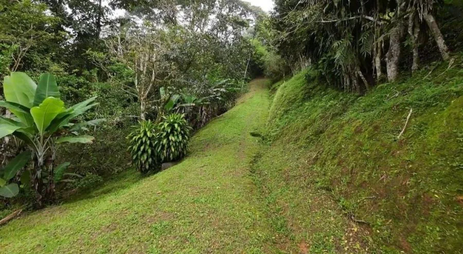 EN VENTA PROPIEDAD EN COSTA RICA CON VISTAS Y NACIENTE. - Venta en Perez Zeledón, photo 12