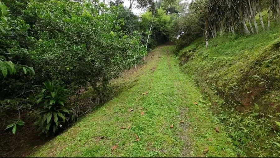 EN VENTA PROPIEDAD EN COSTA RICA CON VISTAS Y NACIENTE. - Venta en Perez Zeledón, photo 13
