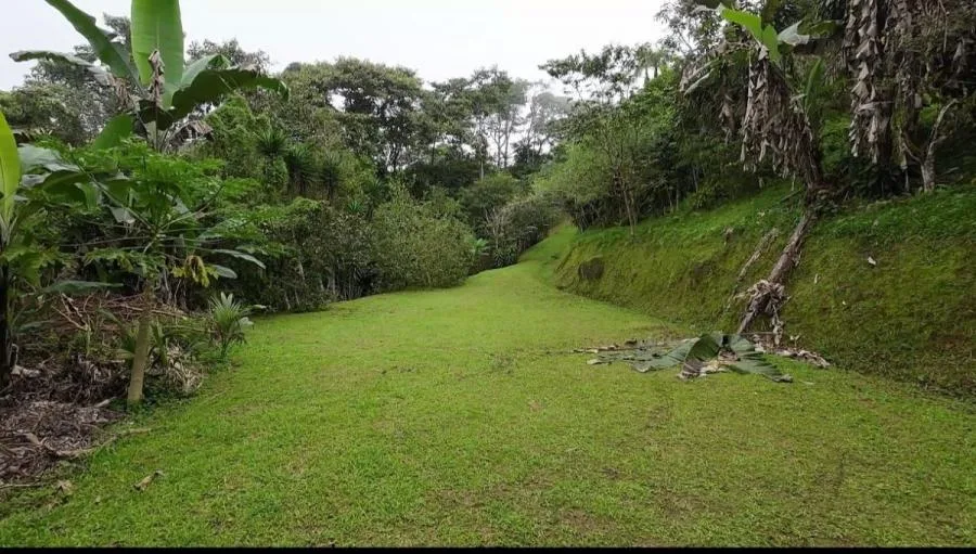 EN VENTA PROPIEDAD EN COSTA RICA CON VISTAS Y NACIENTE. - Venta en Perez Zeledón, photo 14