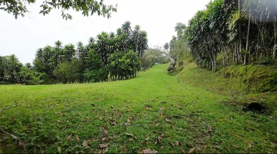 EN VENTA PROPIEDAD EN COSTA RICA CON VISTAS Y NACIENTE. - Venta en Perez Zeledón, photo 9