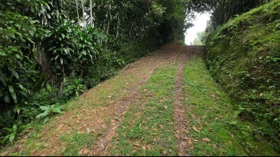 EN VENTA PROPIEDAD EN COSTA RICA CON VISTAS Y NACIENTE. - Venta en Perez Zeledón, photo 10
