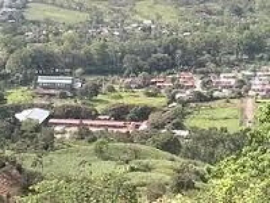 Venta de Finca en Pérez Zeledón, San José. RAH 25-1654 - Venta en Perez Zeledón, photo 2