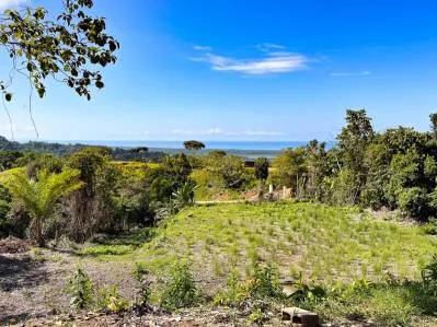Terreno con Vista al Mar y Varios Sitios para Construir en Tres Ríos, photo 4
