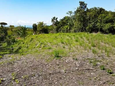 Terreno con Vista al Mar y Varios Sitios para Construir en Tres Ríos, photo 5