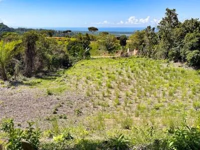 Terreno con Vista al Mar y Varios Sitios para Construir en Tres Ríos, photo 8