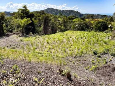 Terreno con Vista al Mar y Varios Sitios para Construir en Tres Ríos, photo 9