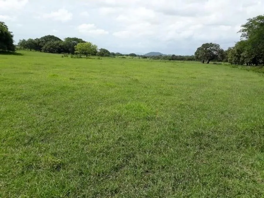 HERMOSO LOTE(1.36ACRES) EN EL CORAZÓN DE RISE,SANTA ELENA,PZ - Venta en Perez Zeledón, photo 12